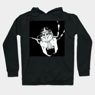 The Orb Weaver in White Hoodie